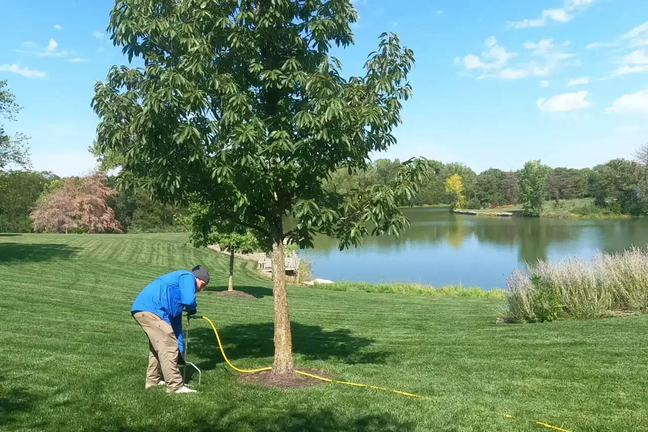View Our Work — Yard Boss