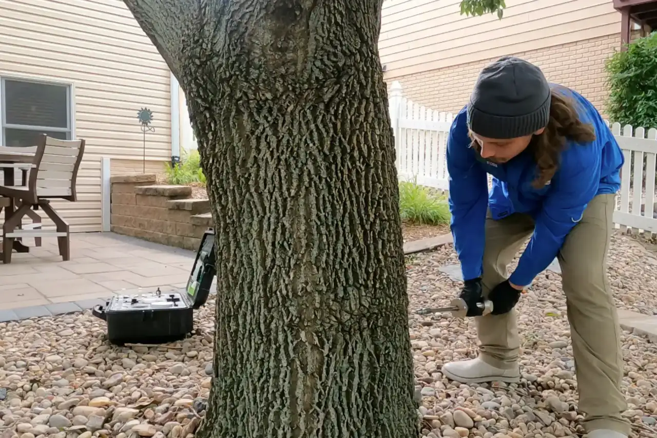 View Our Work — Yard Boss