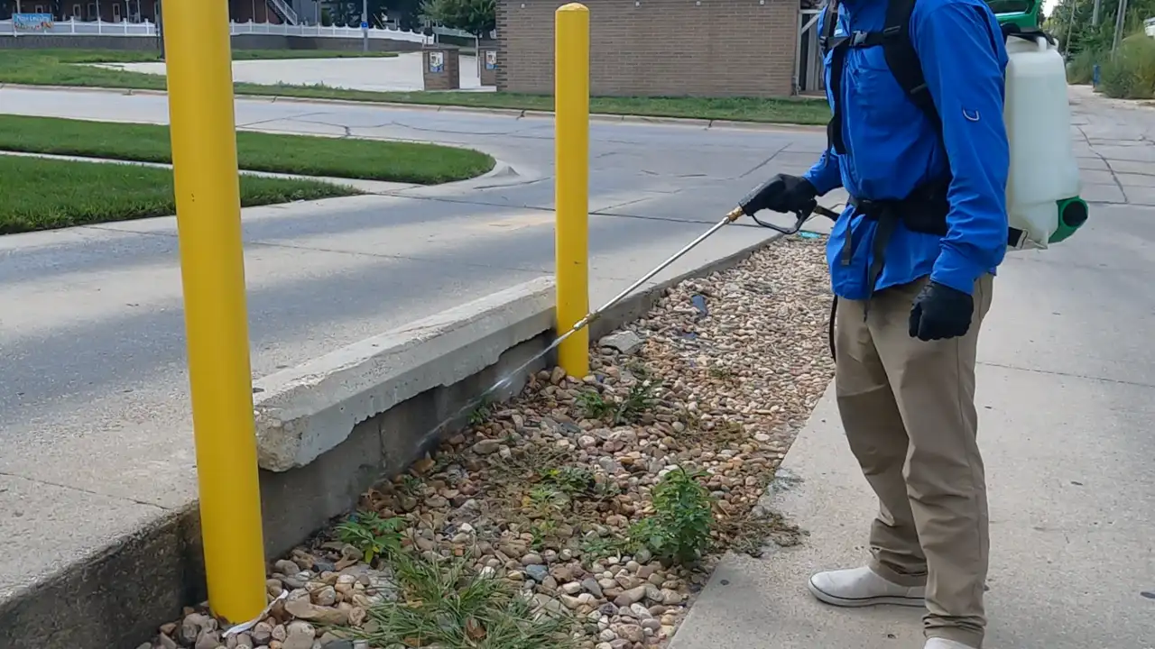 Commercial Lawn Care & Maintenance Service | Yard Boss