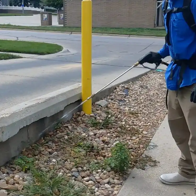 Why Bugs Try to Move Into Lincoln Homes in October, and How to Keep Them Out
