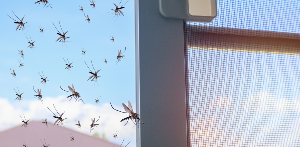 Mosquito Control Service In Lincoln, NE | Yard Boss