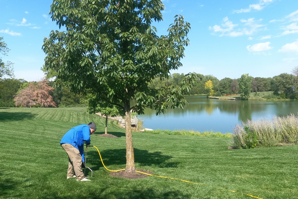 Tree & Shrub Care Services In Lincoln, NE | Yard Boss