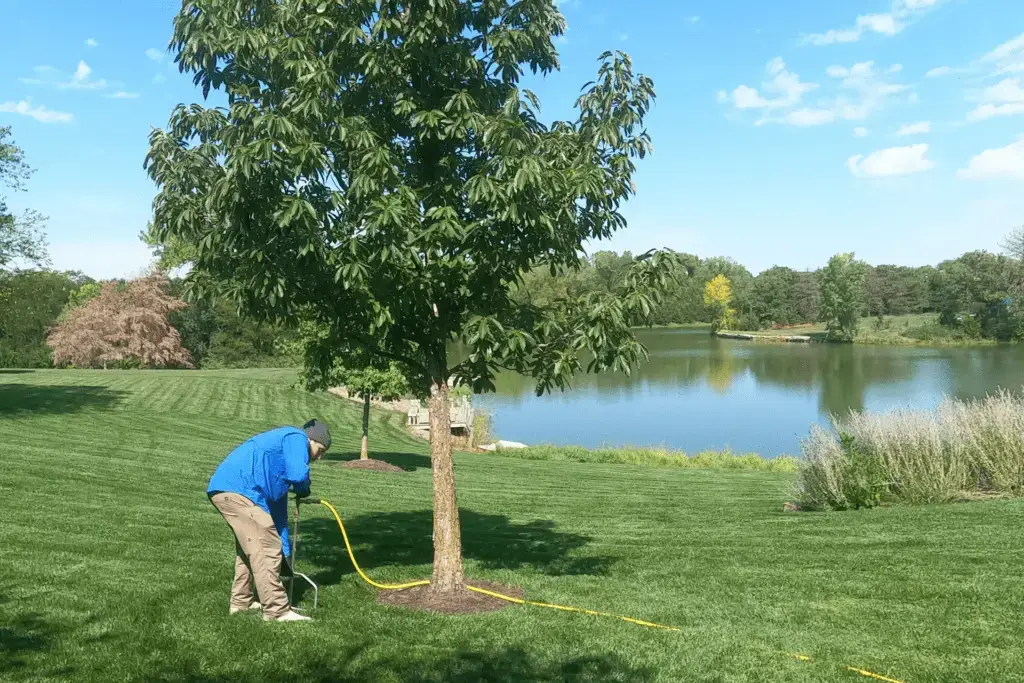 Tree & Shrub Care Services In Lincoln, NE | Yard Boss