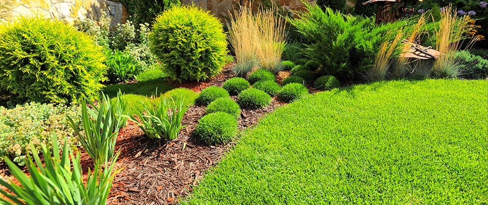 Our Landscaping Services