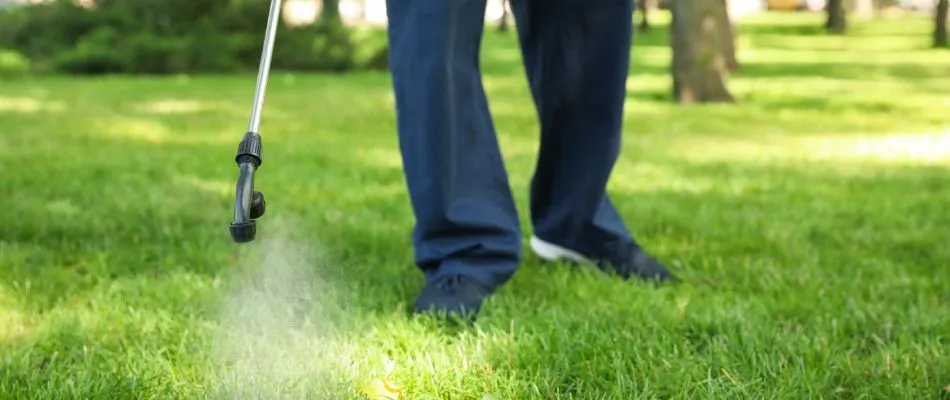 Lawn Spraying | Yard Boss