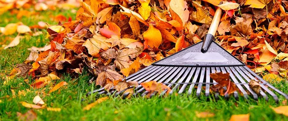 Keep your property neat with a fall cleanup, leaf removal, and more.