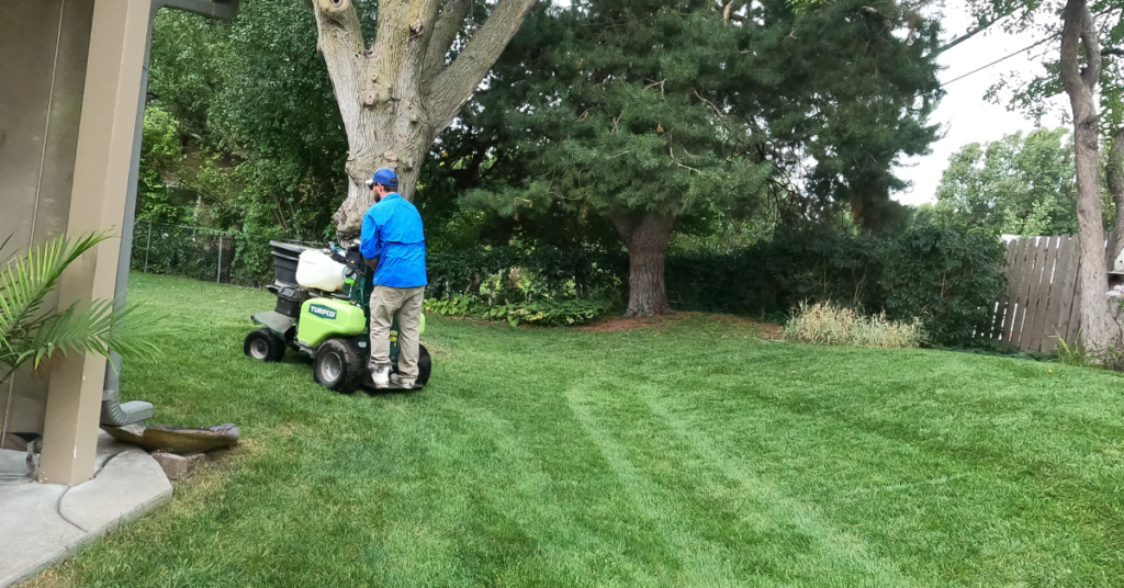 5 Step Lawn Fertilization & Weed Control Program