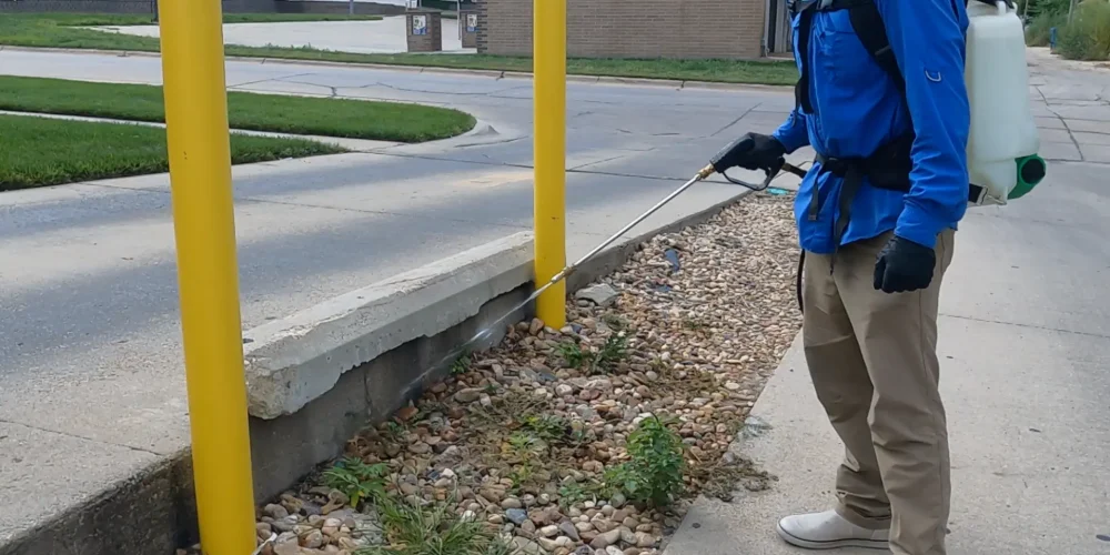 Commercial Lawn Care & Maintenance Service | Yard Boss